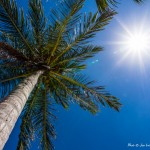 El Secreto Resort, Ambergris Caye, Belize Luxury Resorts - Commercial Photography (12)