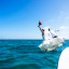 Trash the Vera Wang | Trash the Dress at Turneffe Island Resort | Destination Belize Wedding Photographer | Jose Luis Zapata Photography