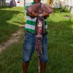 Huge Squid caught by Freddie Gonzalez Sr. near a Sea Wall in San Pedro Town