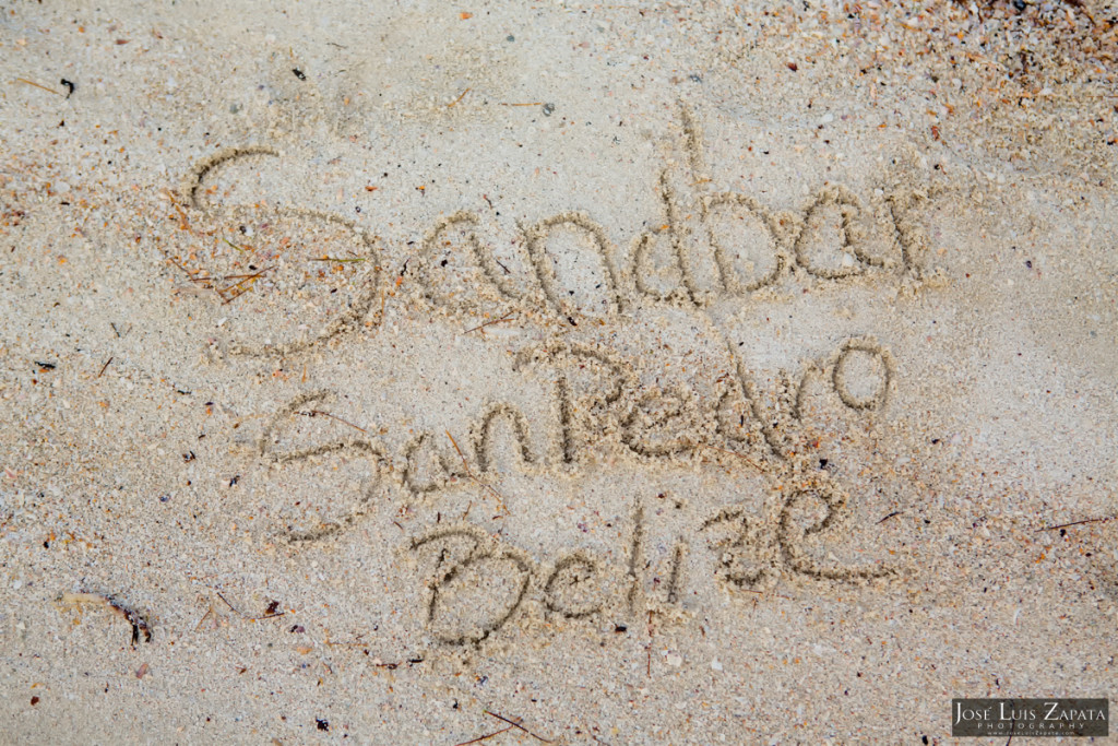 San Pedro Sandbar Elopement Wedding, Ambergris Caye, Belize Wedding (14)