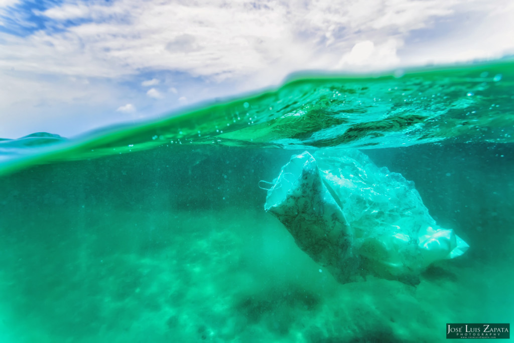 San Pedro Sandbar Next Day Wedding Photos (1)